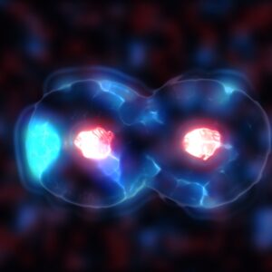 Cell Division, generic cell dividing with copy space, stem cells dividing